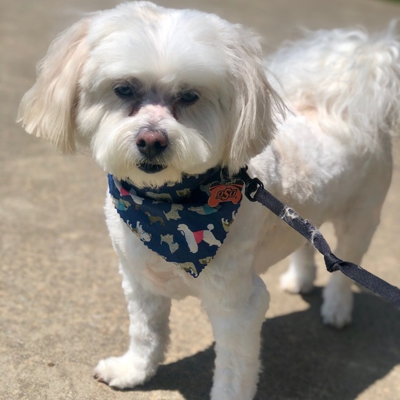 💕Get to know me!💕 - Picture 3 of 4